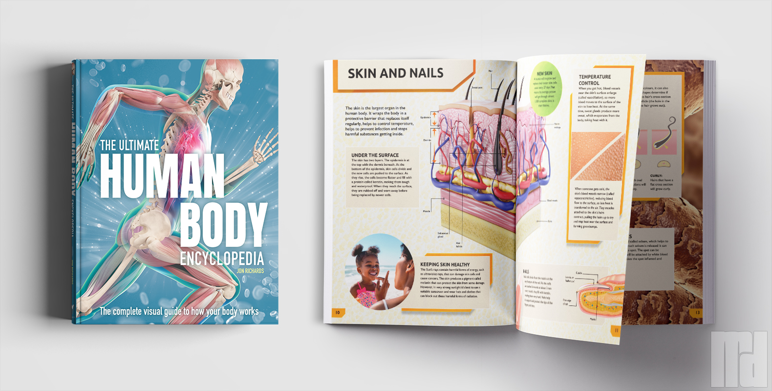 The Ulitmate Human Body Encyclopedia