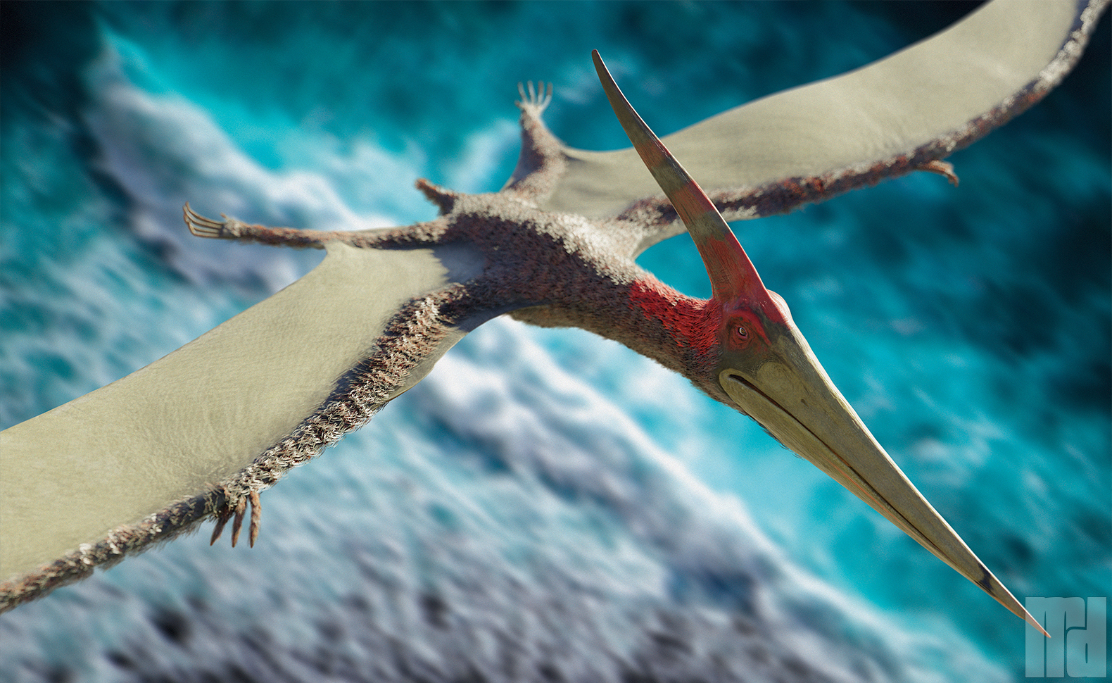 Pteronodon