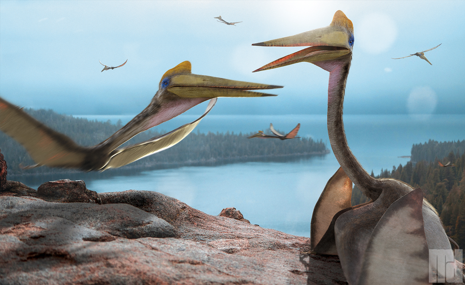 Quetzalcoatlus